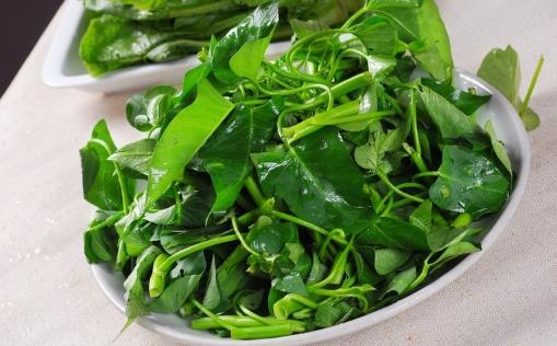 油炒空心菜后颜色发黑是有毒物质吗 空心菜食物搭配