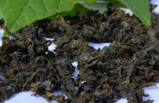 营养价值高的菜品新品种 地皮菜的好吃做法 